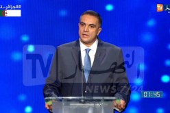 بلعيد: المادة 51 من الدستور التي تحرم المغتربين من مسؤوليات مجحفة