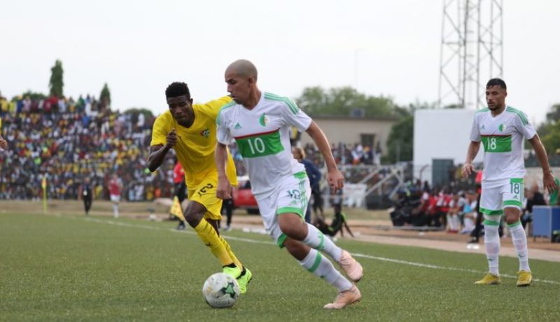 فيغولي: “من واجبي الدفاع على الجزائر”