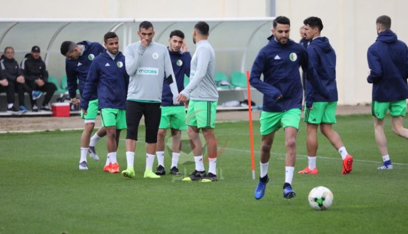 بالفيديو.. الخضر يُجرون ثاني حصة تدريبية قبل موقعة “غامبيا”
