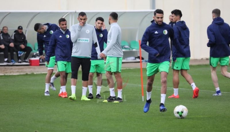 بالفيديو.. “الخضر” يُواصلون التحضير لودية “تونس”