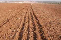 بوتفليقة يؤكد على ضرورة تجسيد القانون المتعلق بنمط استغلال الأراضي الفلاحية