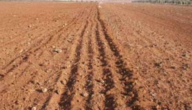بوتفليقة يؤكد على ضرورة تجسيد القانون المتعلق بنمط استغلال الأراضي الفلاحية
