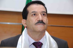 عمار غول يكشف عن إجراء اتصالات مع بعض الأحزاب حول مشاورات تعديل الدستور