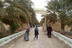 بدوي يعلن عن مشروع فتح “ثانويات فلاحية” مع الدخول التكويني المقبل