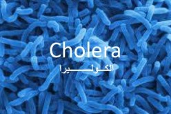 الكوليرا تقتل شخص كل ساعة في اليمن