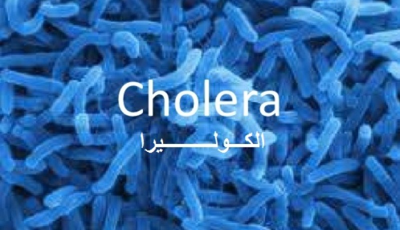 الكوليرا تقتل شخص كل ساعة في اليمن