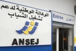 بولقرينات يكشف عن إجراءات جديدة لتسهيل حصول الشباب على مشاريع “أونساج”