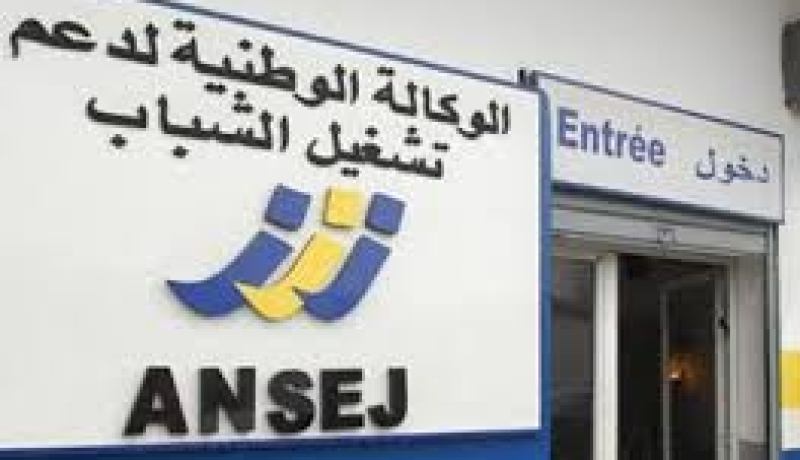 بولقرينات يكشف عن إجراءات جديدة لتسهيل حصول الشباب على مشاريع “أونساج”