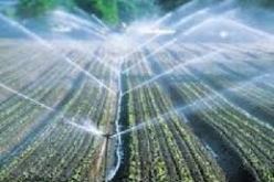 نسيب يشدد بالسعيدة على استخدام الأنظمة المقتصدة للماء في السقي الفلاحي