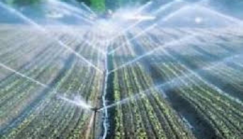 نسيب يشدد بالسعيدة على استخدام الأنظمة المقتصدة للماء في السقي الفلاحي