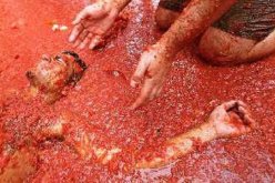 احتفال اسبانيا بتقليد حرب الطماطم باستعمال 170 طنا