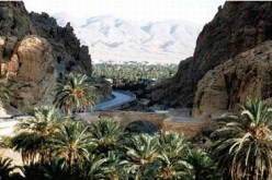 وزارة السياحة تعلن عن تعديل قانون الوكالات السياحية خلال الأشهر القليلة المقبلة