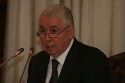 الأرندي يدعوا الرئيس بوتفليقة إلى الترشح لعهدة رابعة