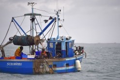 السلطات التونسية تحتجز 17 صيادا مصريا