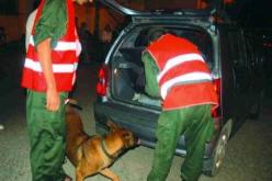 حجز 220 قنطار من مواد التنظيف غير مطابقة ومنتهية الصلاحية بمستغانم