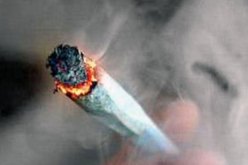 توقيف 4 أشخاص بينهم 3 نساء يستهلكون المخدرات في تيارت