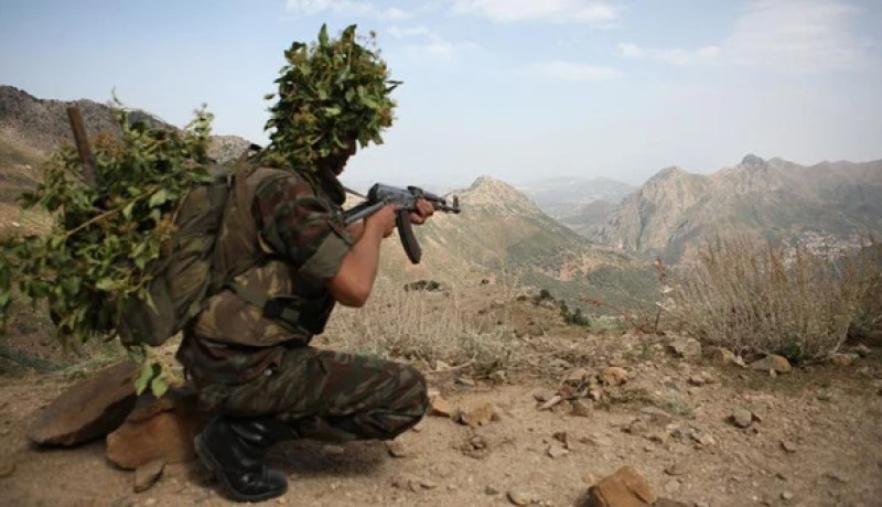 الجيش الوطني يلقي القبض على إرهابي بالبويرة وآخر بسكيكدة