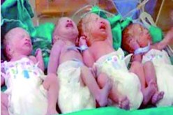 امـرأة مـن‮ ‬غـلـيـزان تـنـجــب ‮أربـعــة ‬مــوالـيـد فـي‮ ‬مـسـتـشـفـى وهـــران