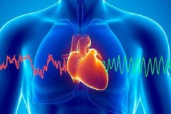 7 عوامل رئيسية تقي من خطر الإصابة بأمراض القلب