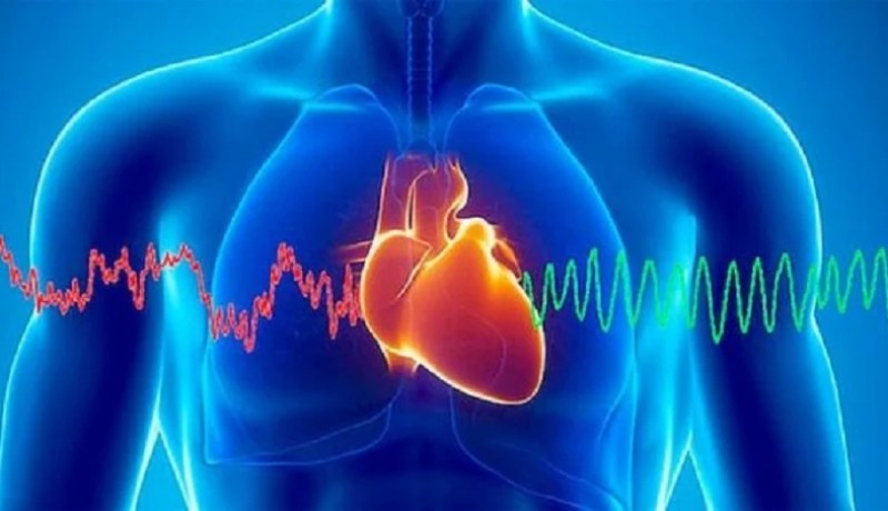 7 عوامل رئيسية تقي من خطر الإصابة بأمراض القلب