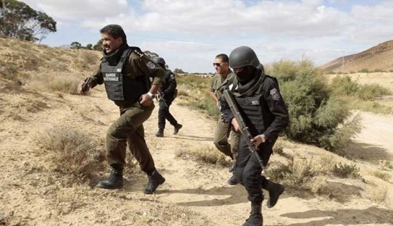 إحباط محاولة تهريب 7 ألف خرطوشة صيد على الحدود الجزائرية التونسية