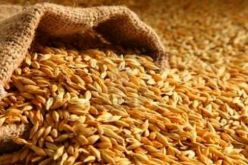 تراجع واردات الحبوب بأكثر من 25 % خلال شهرين