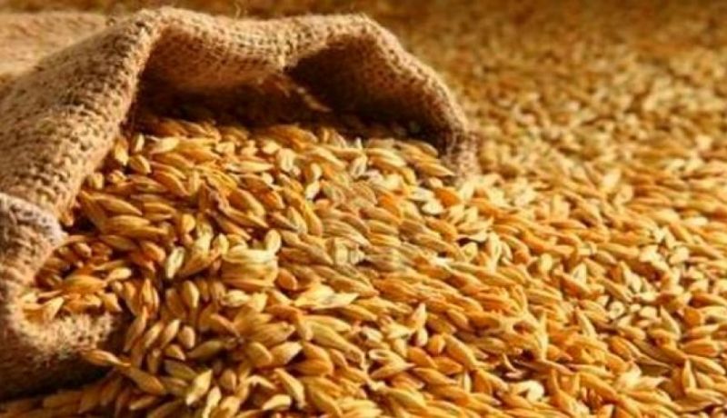 تراجع واردات الحبوب بأكثر من 25 % خلال شهرين