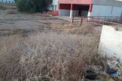 الشلف: الجزارون يطالبون بوضع المذبح البلدي الجديد حيز الخدمة