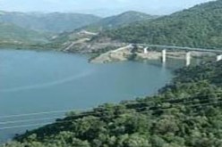 حسين نسيب: هناك أشياء كثيرة يجب القيام بها في قطاع استراتيجي