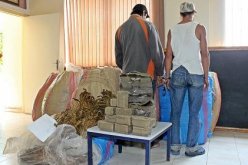 توقيف شخصين وحجز أزيد من 10 كلغ من المخدرات ببوقيراط في مستغانم