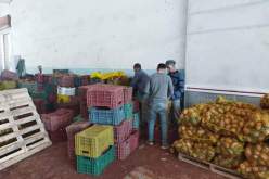 تفريغ مخازن البطاطا في أسواق الجملة تحسبا لعيد الفطر المبارك