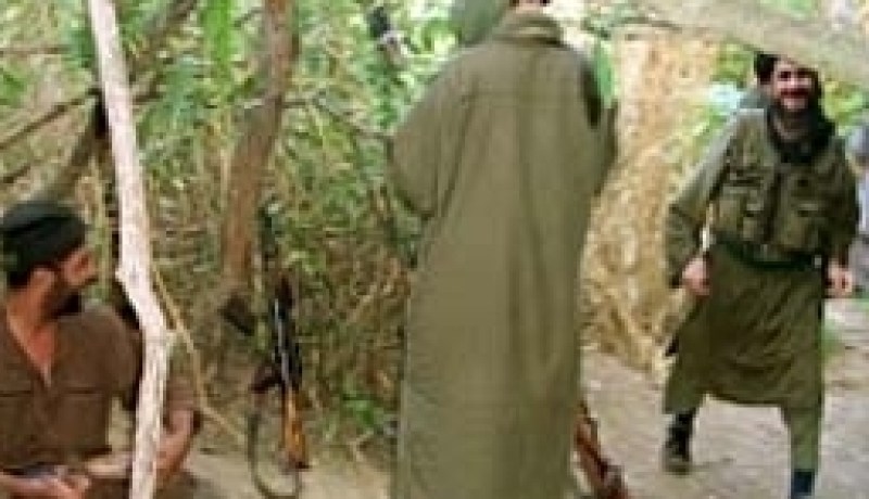 عودة نشاط عناصر كتيبة الأرقم