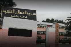 بالوثائق.. فلاحون وهميون يستفيدون من دعم بالملايير في باتنة!