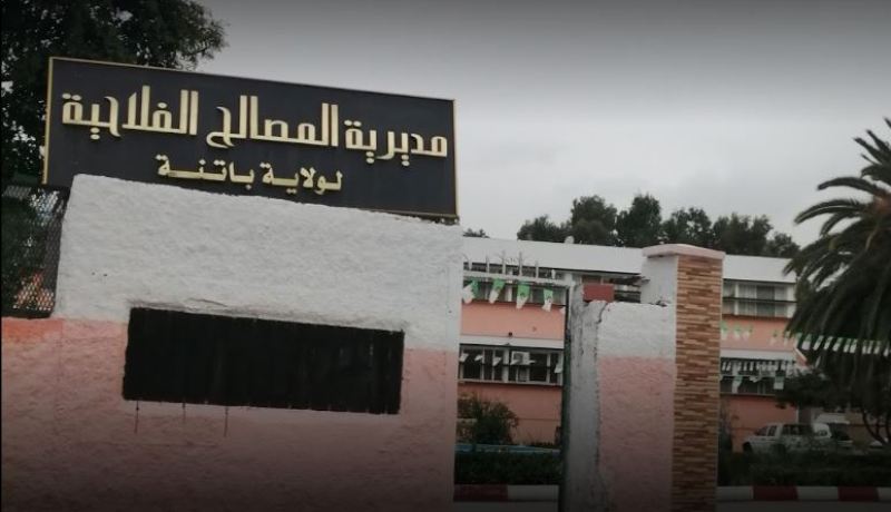 بالوثائق.. فلاحون وهميون يستفيدون من دعم بالملايير في باتنة!