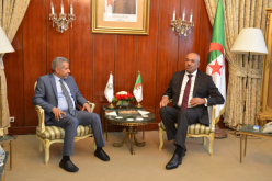 بالصور.. بدوي يستقبل الأمين العام لمجلس وزراء الداخلية العرب