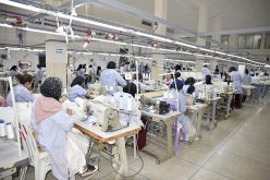 رئيس الجمهورية: إعفاءات ضريبية لكل من يساهم في خلق مناصب الشغل