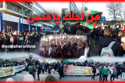 هَبَّة تضامنية مع القدس بجامعات الجزائر