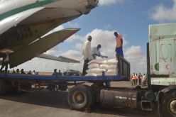 بالصور.. وصول الشحنة الثانية من المساعدات الإنسانية الجزائرية إلى النيجر