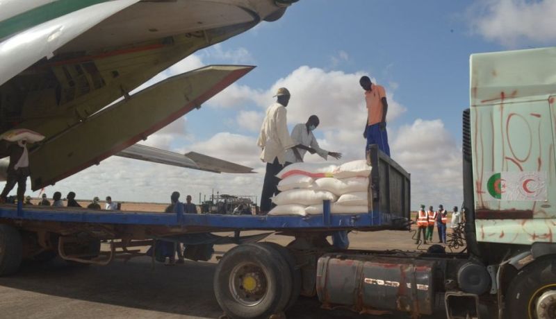 بالصور.. وصول الشحنة الثانية من المساعدات الإنسانية الجزائرية إلى النيجر