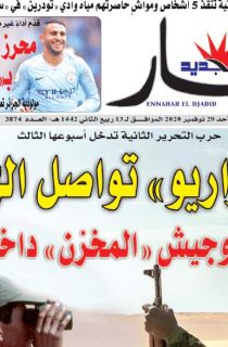 النسخة المصورة لليوم 29 نوفمبر 2020