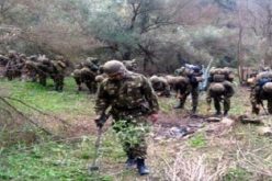 الجيش يدمر قنبلة تقليدية الصنع في تيزي وزو