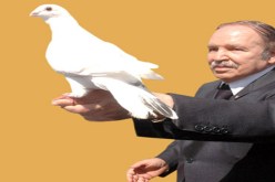 الجزائر اكثر الدول أمانا في العالم