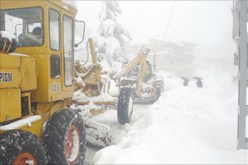 شلل في حركة المرور جراء تساقط الثلوج في عدة ولايات