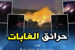 تيزي وزو تعيش من جديد سلسلة من حرائق الغابات بعدة مناطق
