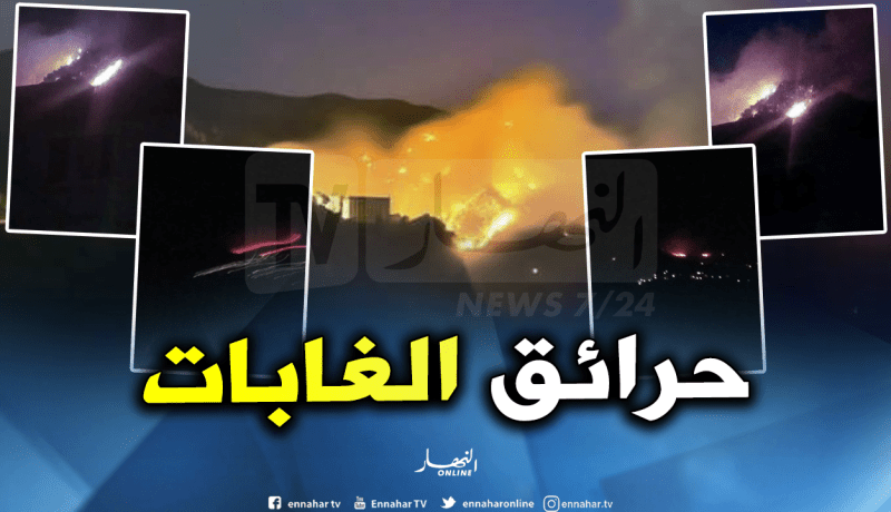 تيزي وزو تعيش من جديد سلسلة من حرائق الغابات بعدة مناطق