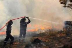 10 سنوات سجنا وغرامات مالية للمُتسبّبين في حرائق الغابات