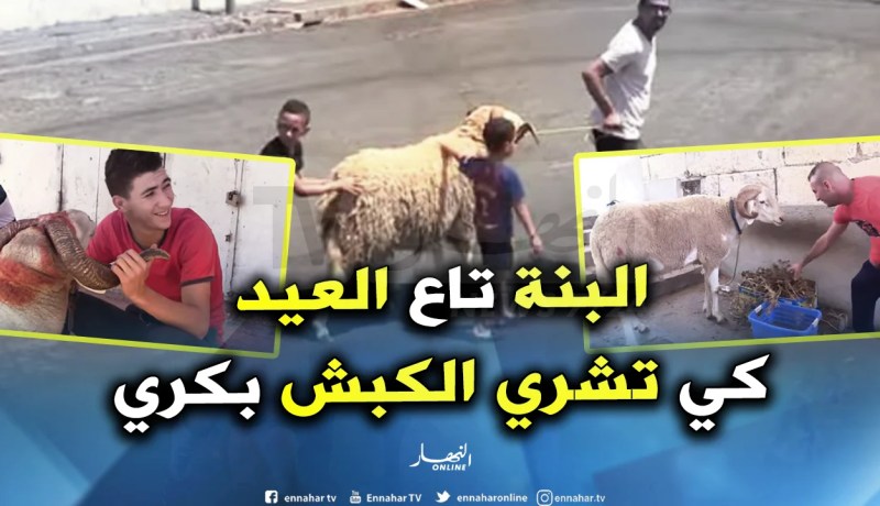 لهذا السبب يشتري الجزائريون كبش العيد مبكرا