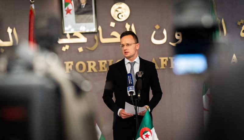 وزير الخارجية المجري: الجزائر لها دور كبير في استقرار الأوضاع بشمال إفريقيا