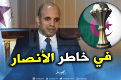 برناوي: “الجسر الجوي تضمن 96 طائرة حملت 9 آلاف مناصر نحو مصر”
