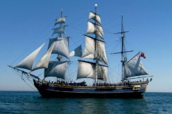 سفينة برتغالية تغادر ميناء جن جن بعد 3 سنوات من الحجز التحفظي بجيجل